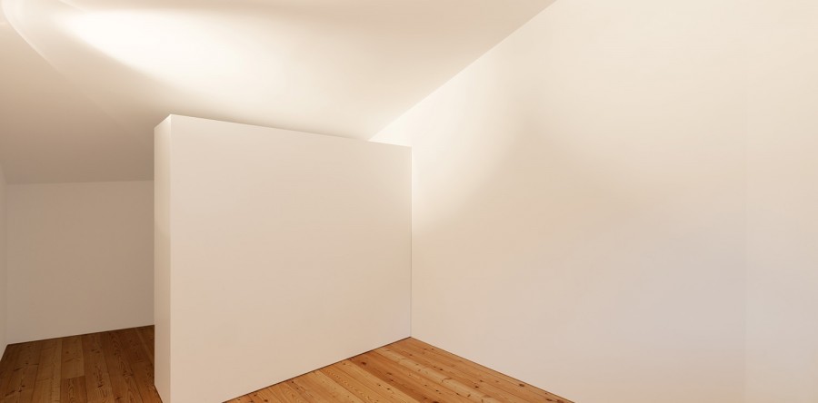 Donec tempor libero